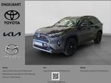 Toyota RAV 4 2.5 Hybrid Style Selection Allwetterreifen - gebrauchte Toyota RAV 4 aus dem Jahr 2024