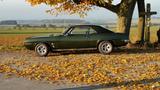 Pontiac 69er Firebird Coupe, 6.3 L - Pontiac mit Benzin-Antrieb