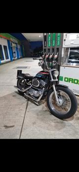 Harley-Davidson Sportster XLH 883  - HARLEY-DAVIDSON 2003 SPORTSTER 883