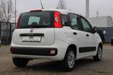 Fiat Panda 1.2 EASY/SHEFT/8FACH/RADIO - Fiat Panda: 1.1