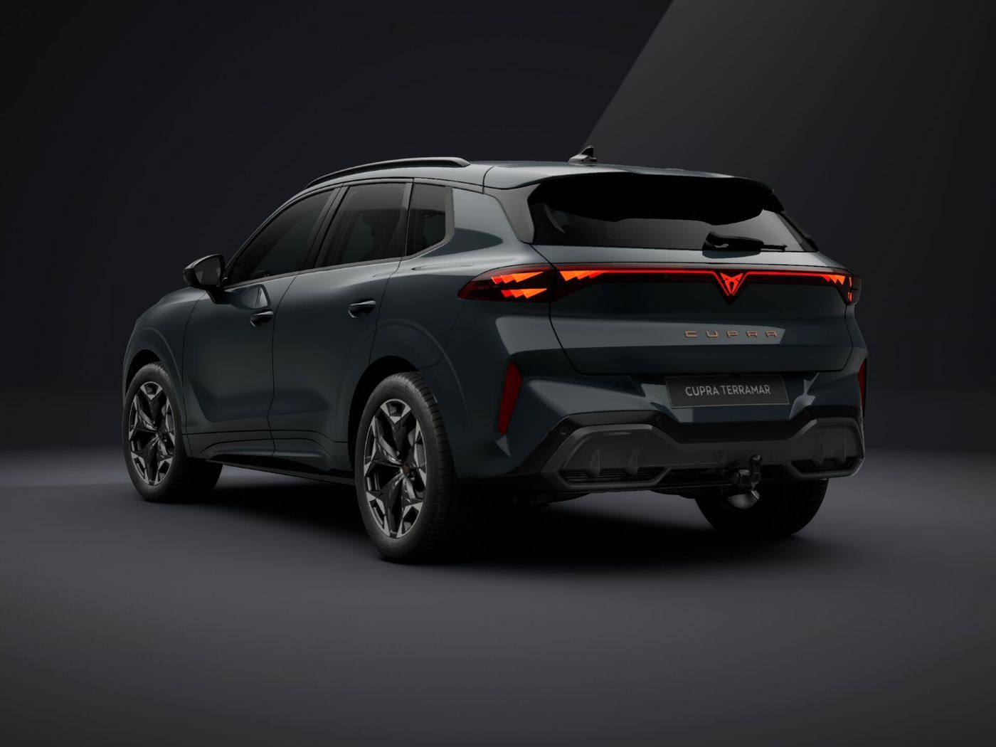 Cupra Terramar - Bild 4