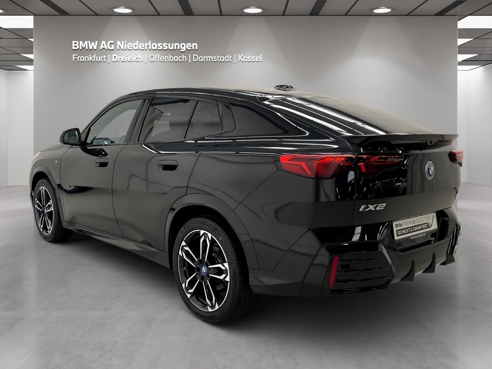 BMW iX2 xDrive30 M Sport AHK Driv.Assist.Prof LED foto 5