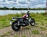 Yamaha SCR 950 - super Zustand - XVS950XR - YAMAHA SCR 950