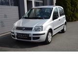 Fiat Panda 1,2 Automatk orig. 40.000 km - gebrauchte Fiat Panda aus dem Jahr 2007