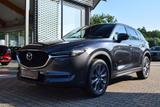 Mazda CX-5 2.5 194PS 6AG AWD Sports-Line Bose Matrix-L - gebrauchte Mazda CX-5 aus dem Jahr 2019