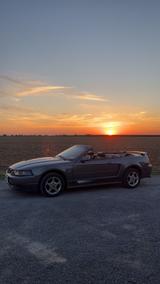 Ford Mustang Cabrio SN95 - Ford Mustang aus 2003: Cabrio