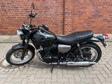 Kawasaki W800 Street - KAWASAKI W800 STREET