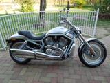 Harley-Davidson V - ROD  VRSCA 2002 wunderschön! - Offers matching your search criteria