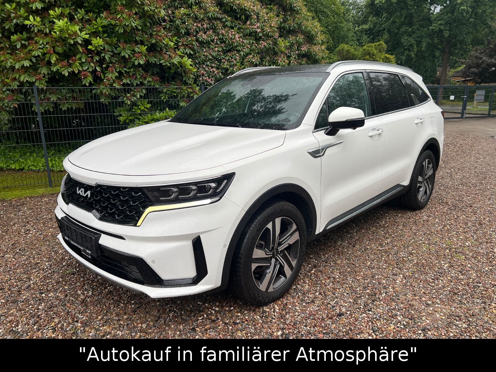 KIA Kia Sorento Platinum 4WD Plug-In Hybrid Pano