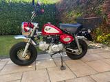 Skyteam Mini - SKYTEAM MOTORRAD