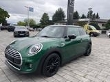 MINI 3-trg. 1.5 Modell Chili - MINI MINI: 1.3