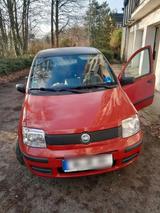 Fiat kleinwagen fiat - Fiat Panda Gebrauchtwagen in Solingen