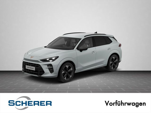 Image of Cupra Terramar
