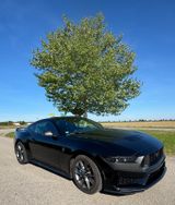 Ford Mustang 5.0 Ti-VCT V8 Dark Horse Dark Horse