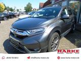 Honda CR-V 1.5 T 2WD Elegance Android Auto Navi Sitzhe - Honda CR-V Gebrauchtwagen in Hamburg