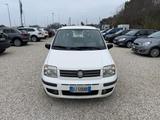 Fiat Panda 1.2 Alessi - Fiat Panda Alessi mit Benzin-Antrieb