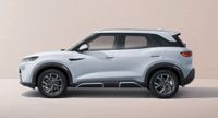 BYD ATTO 2 - Vorschau Bild 6