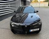 Alfa Romeo Stelvio 2.9 Bi-T. V6 375kW Quadrifoglio AT8-... - Alfa Romeo Stelvio: Quadrifoglio