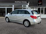 Mercedes-Benz B 180 CDI BlueEfficiency Edition 1 + Winterräder - Mercedes-Benz B 180 mit Diesel-Antrieb: Limousine, Automatik