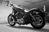 Harley-Davidson Sportster XL1200L - Offers