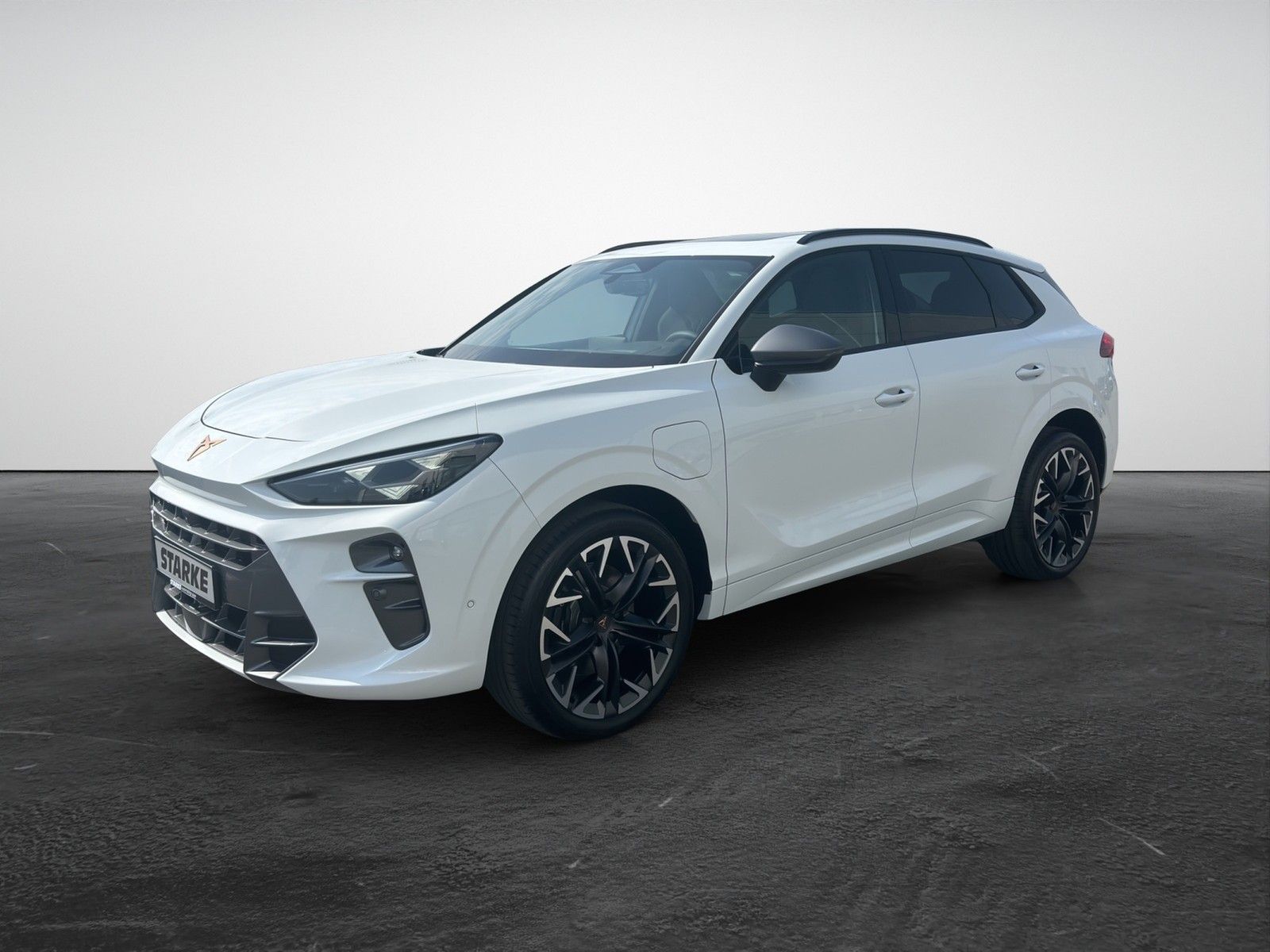 Cupra Terramar VZ 1.5 e-Hybrid DSG HeadUp Panodach AH imagem 2