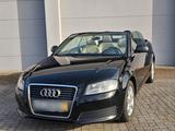 Audi A3 Cabriolet 2.0 TDI  140 PS  TÜV neu - Audi A3: 140 Ps