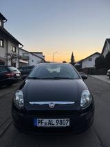 Fiat Punto Evo Active - Fiat Punto Evo: Kleinwagen