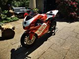 Ducati Scheckheftgepflegte Ducati 999r Xerox - DUCATI 999
