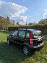Fiat PandaPanda 169 (Sondermodell) - Alessi Sitze 2 - Fiat Panda: Alessi