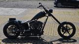 Andere Highneck Chopper, orig. HD Twin Cam - Benzin Motorräder weiterer Marken