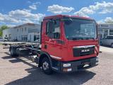 MAN TGL 8.180BL 179Ps Fahrgestell 3Sitzer Tüv 4/2026 - MAN Erfurt