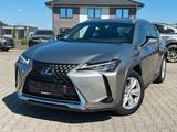 Lexus UX250h Hybrid Luxury Line - Lexus UX aus 2019