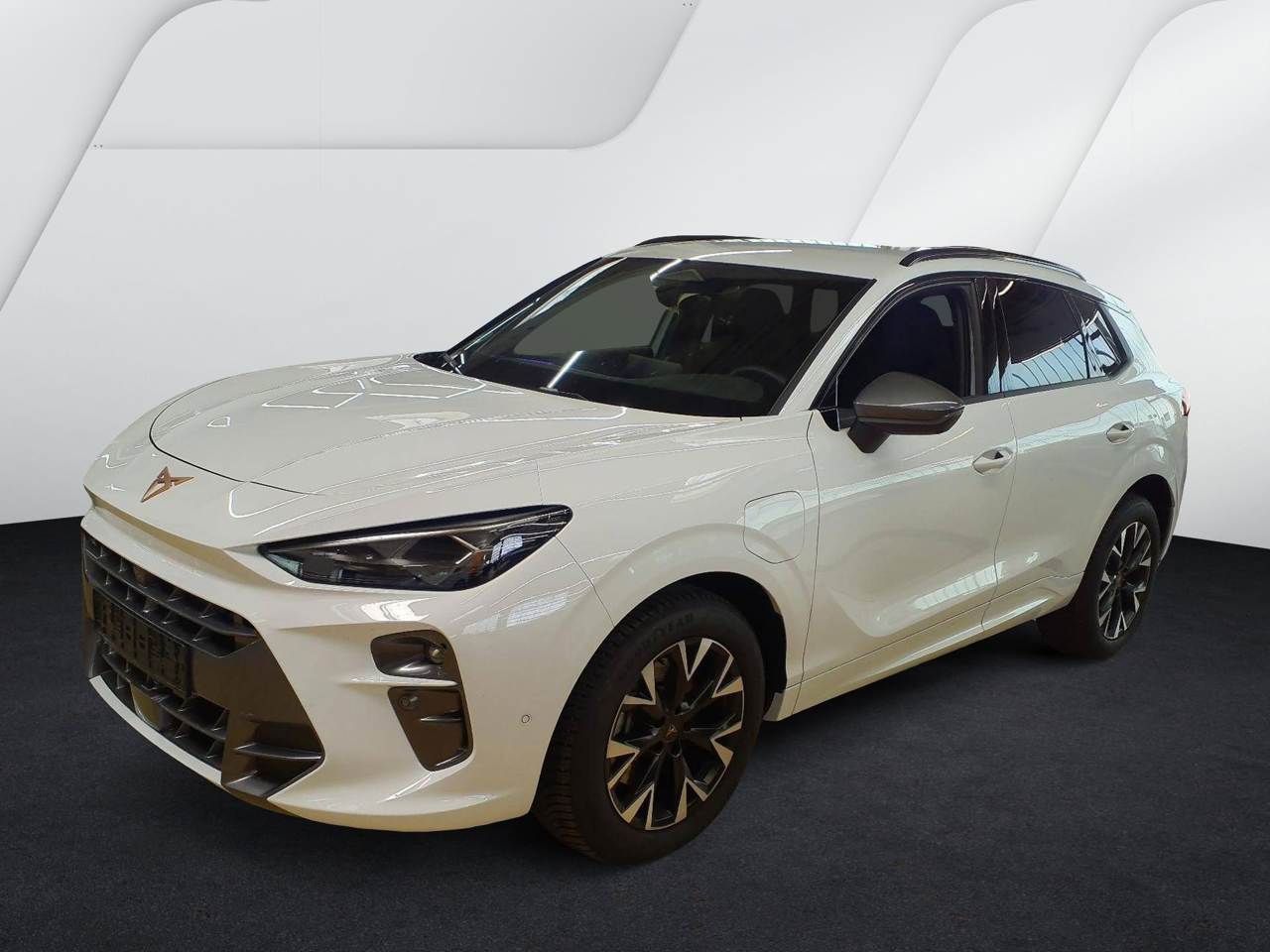 Cupra Terramar - Bild 2