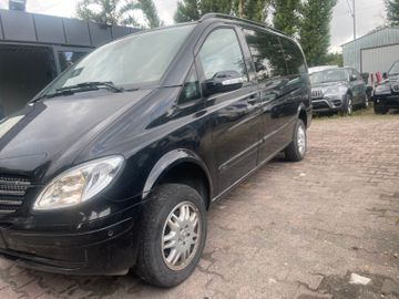Mercedes Viano - 2