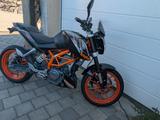 KTM Duke 390 - NAKED BIKE VON 251 BIS 500 CCM