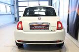 Fiat 500 Cult Klima Fenster el. - Fiat 500 Cult mit Benzin-Antrieb