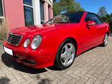 Mercedes-Benz CLK 320 Elegance AMG Navi Xenon Leder Scheckheft - gebrauchte Mercedes-Benz CLK-Klasse aus dem Jahr 2001