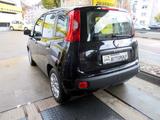 Fiat Panda 1.2 Easy 5tg Klima/PDC/67Tkm - Fiat Panda: 5.5