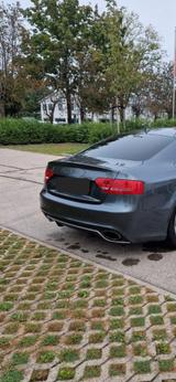 Audi RS5 4.2 FSI S tronic quattro - - Audi RS5: 4.2