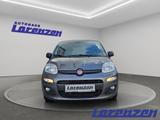 Fiat Panda More Easy 1.2 8V 51kW Musikstreaming PDC A - Fiat Panda: More