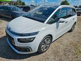 Citroën Grand C4 Picasso/Spacetourer Shine (Nr.021) - Citroën Grand C4 Picasso / SpaceTourer mit Schiebedach