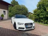 Audi S5 3.0 TFSI Cabrio - TÜV neu - Audi S5 aus 2012