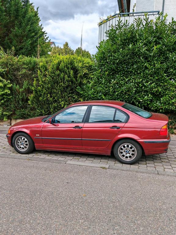 BMW 318