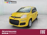 Fiat Panda 1.0 Mild Hybrid Pandina Pop