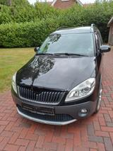 Skoda Roomster 1.2l TSI 77kW Scout Plus Edition Sc... - Skoda Roomster mit Benzin-Antrieb: Scout