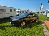 Lexus UX 250 H UX Hybrid Executive - Lexus UX aus 2019