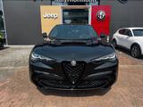 Alfa Romeo Stelvio 2.9 V6 Bi-T.  Quadrifoglio NAVI ALLRAD - Alfa Romeo: Quadrifoglio