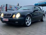 Mercedes-Benz Mercedes CLK 430 Handschalter Projekt - Mercedes-Benz CLK 430: Cabrio