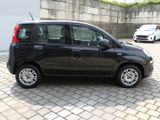 Fiat Panda EASY 1.2 69PS KLIMA PDC DAB START&STOPP - Fiat Panda mit Benzin-Antrieb: Kleinwagen