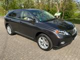 Lexus RX 450 450h Executive Line Executive Line - gebrauchte Lexus SUV & Geländewagen